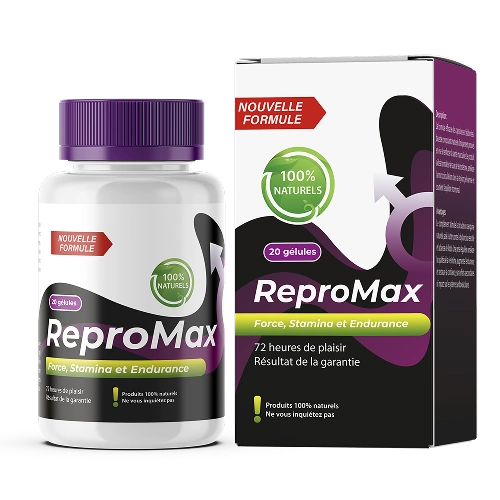repromaxmaroc.com